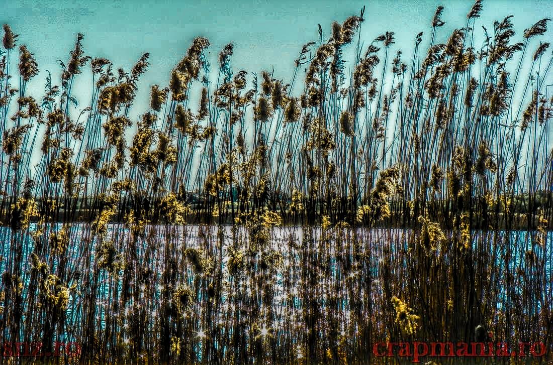 Trofeul Tancabesti - 2013 - 1010226hdrmode2.jpg